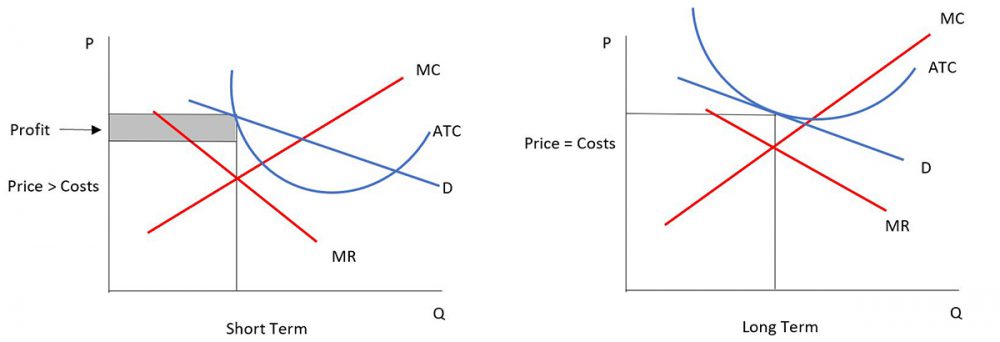 Table 5.1 Short term and long term profit maximisation